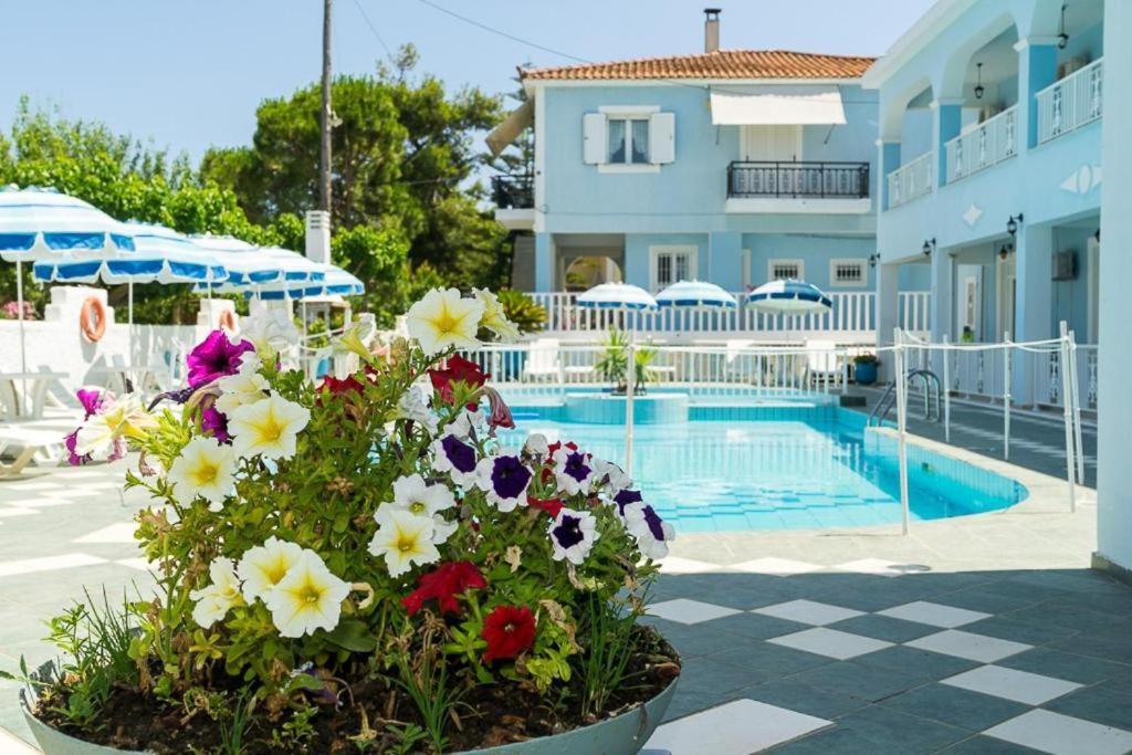 Anna'S Studios & Apartments Zakynthos Exteriér fotografie