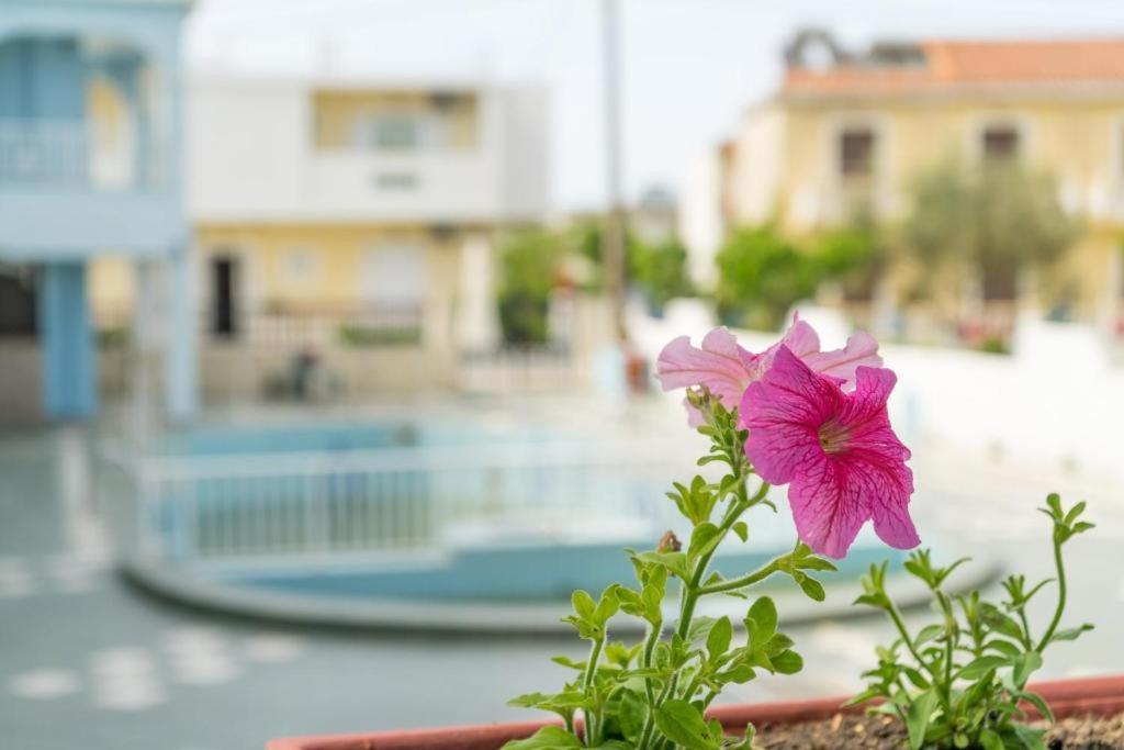 Anna'S Studios & Apartments Zakynthos Exteriér fotografie